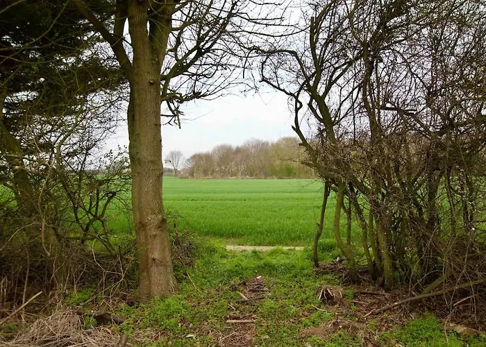 Spacious 5 Bed In The Countryside, Close To Frinton-On-Sea